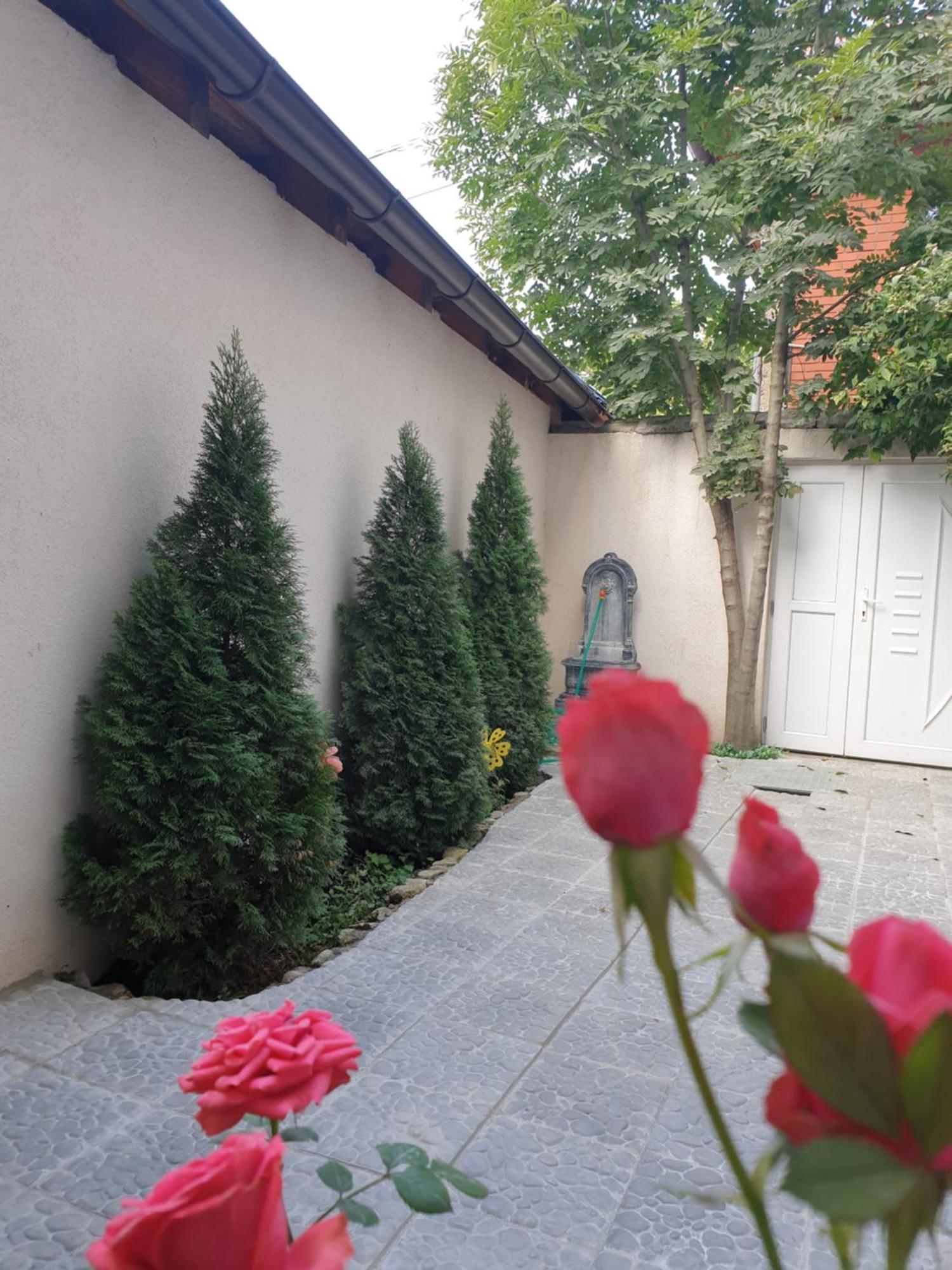Apartments Old Town Sarajevo Bagian luar foto